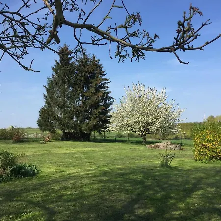 Alte Kuesterei Hohen Mistorf, Ganzes Haus